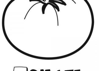 Dibujo de tomate. Imágenes infantiles de fruta y verdura