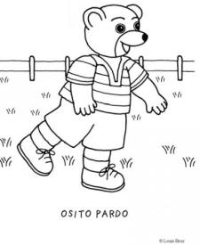 Osito Pardo