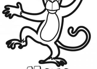 Dibujo de un mono para colorear. Imágenes de animales