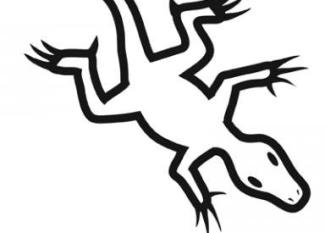 Dibujo de lagarto para imprimir y colorear. Dibujos de animales