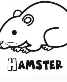 Dibujo gratis de un hámster para colorear. Dibujos de mascotas