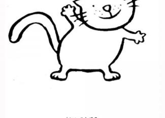 Gato