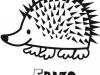 Dibujo infantil de erizo para colorear. Dibujos de animales para niños
