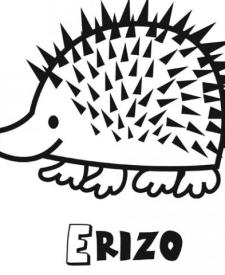 Dibujo infantil de erizo para colorear. Dibujos de animales para niños