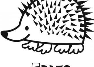 Dibujo infantil de erizo para colorear. Dibujos de animales para niños