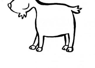 Cabra
