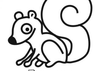 Ardilla para colorear. Dibujos de animales para niños
