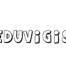 EDUVIGIS