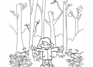 Dibujo para colorear con los niños de una niña en el bosque en otoño