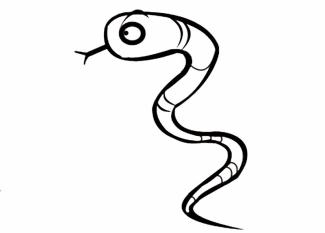 Serpiente de perfil