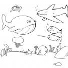 Dibujos de animales marinos para colorear. Fondo marino para pintar