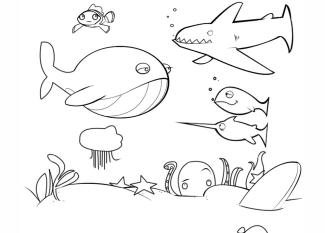 Dibujos de animales marinos para colorear. Fondo marino para pintar