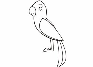 Loro de perfil