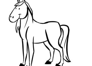 Caballo sonriendo