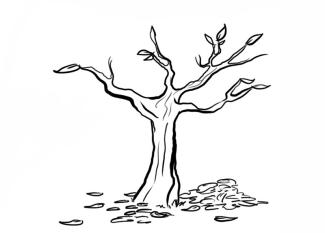 Árbol y hojas