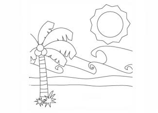 Palmera y sol