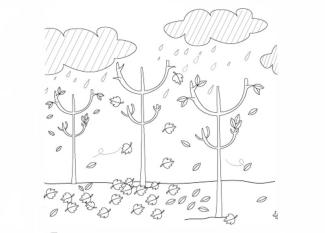 Lluvia en otoño