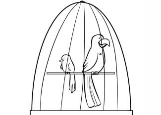 Dibujo infantil de jaula con pájaros para niños