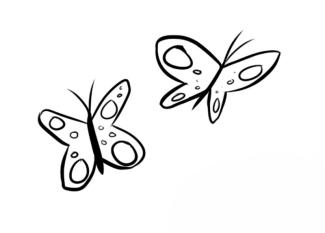 Mariposas volando