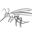 Dibujo de un mosquito, imágenes de insectos para colorear