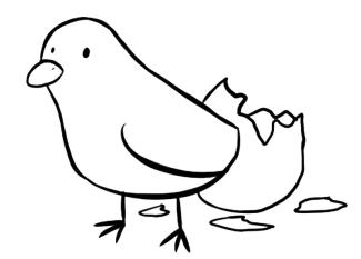 Pollito recién nacido
