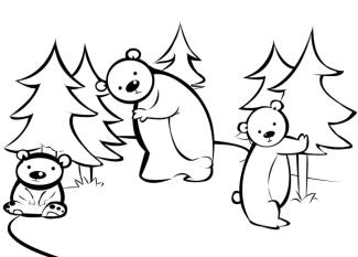 Osos en el bosque