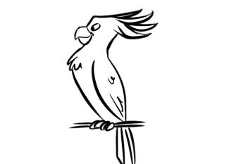 Cacatúa