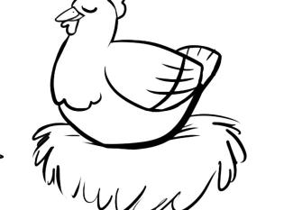 Gallina en el nido