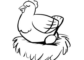 Dibujo para colorear de gallina empollando un huevo