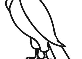 Dibujo infantil de un águila para que los niños pinten