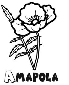 Dibujo para imprimir y colorear de una amapola. Dibujo de flores