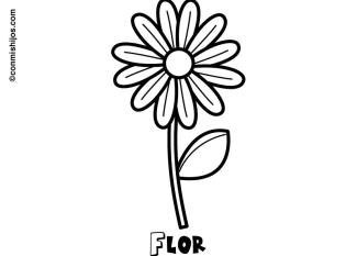 Dibujo de una margarita. Imágenes de flores para pintar