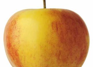 Zumo de manzana con especias