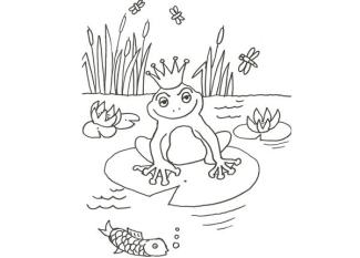 Dibujo de una rana encantada para colorear con niños