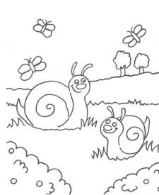 Dibujo de caracoles y mariposas para pintar con niños