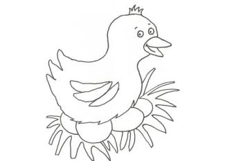 Dibujo de una gallina poniendo huevos para colorear con niños