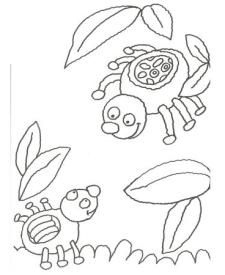 Dibujo de una araña para colorear con niños