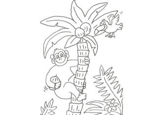 Dibujo para pintar con niños de un gorila y un pájaro