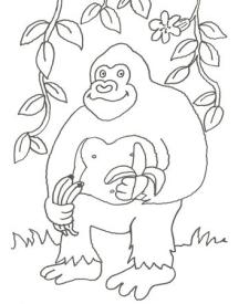 Dibujo de un gorila de la selva para colorear con niños