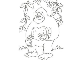 Dibujo de un gorila de la selva para colorear con niños
