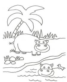 Dibujo de un hipopótamo para colorear con niños