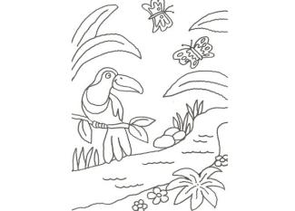 Dibujo de un tucán de la selva para pintar con niños