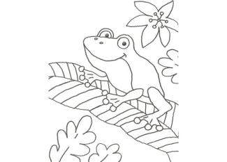Dibujo para pintar con niños de una rana en la selva