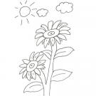 Dibujo de dos flores grandes para colorear con niños