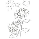 Dibujo de dos flores grandes para colorear con niños