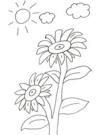 Dibujo de dos flores grandes para colorear con niños