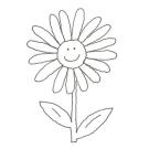 Dibujo de un girasol en primavera para colorear con niños