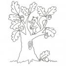 Dibujo de una ardilla en un árbol para pintar con niños