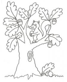 Dibujo de una ardilla en un árbol para pintar con niños