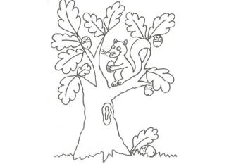 Dibujo de una ardilla en un árbol para pintar con niños